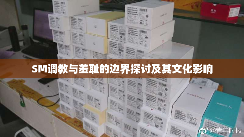 SM调教与羞耻的边界探讨及其文化影响