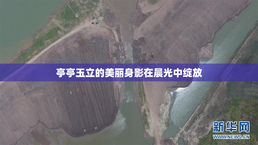 亭亭玉立的美丽身影在晨光中绽放