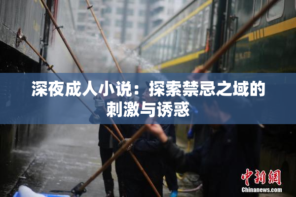 深夜成人小说：探索禁忌之域的刺激与诱惑