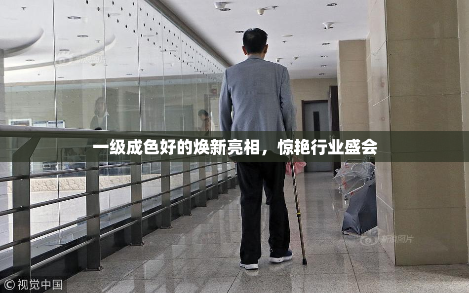 一级成色好的焕新亮相，惊艳行业盛会