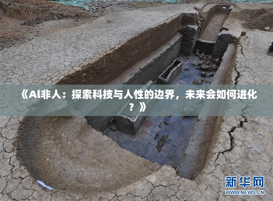 《Al非人：探索科技与人性的边界，未来会如何进化？》