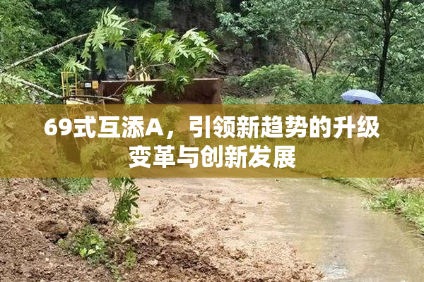 69式互添A，引领新趋势的升级变革与创新发展