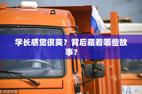 学长感觉很爽？背后藏着哪些故事？