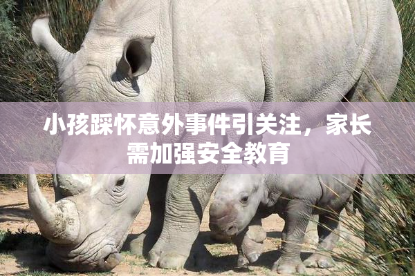 小孩踩怀意外事件引关注，家长需加强安全教育