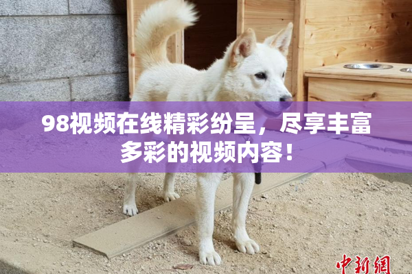 98视频在线精彩纷呈，尽享丰富多彩的视频内容！