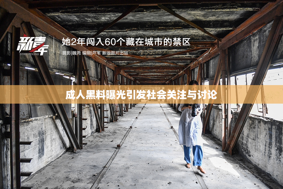 成人黑料曝光引发社会关注与讨论