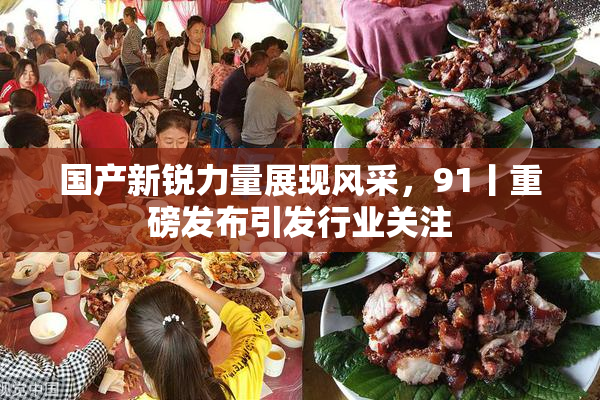 国产新锐力量展现风采，91丨重磅发布引发行业关注