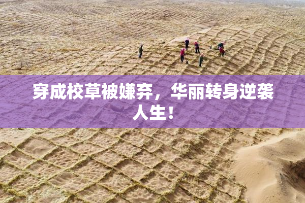 穿成校草被嫌弃，华丽转身逆袭人生！
