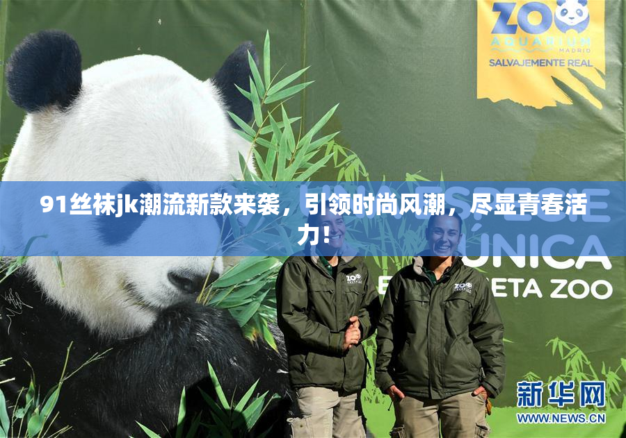 91丝袜jk潮流新款来袭，引领时尚风潮，尽显青春活力！