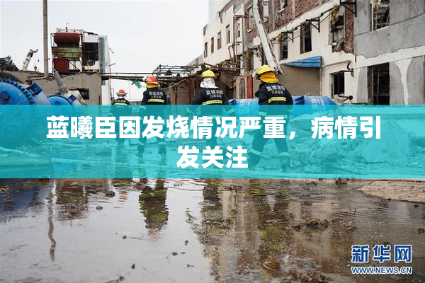 蓝曦臣因发烧情况严重，病情引发关注