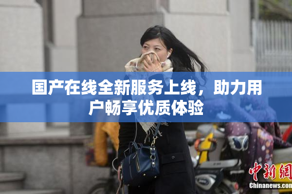 国产在线全新服务上线，助力用户畅享优质体验