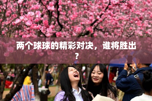 两个球球的精彩对决，谁将胜出？