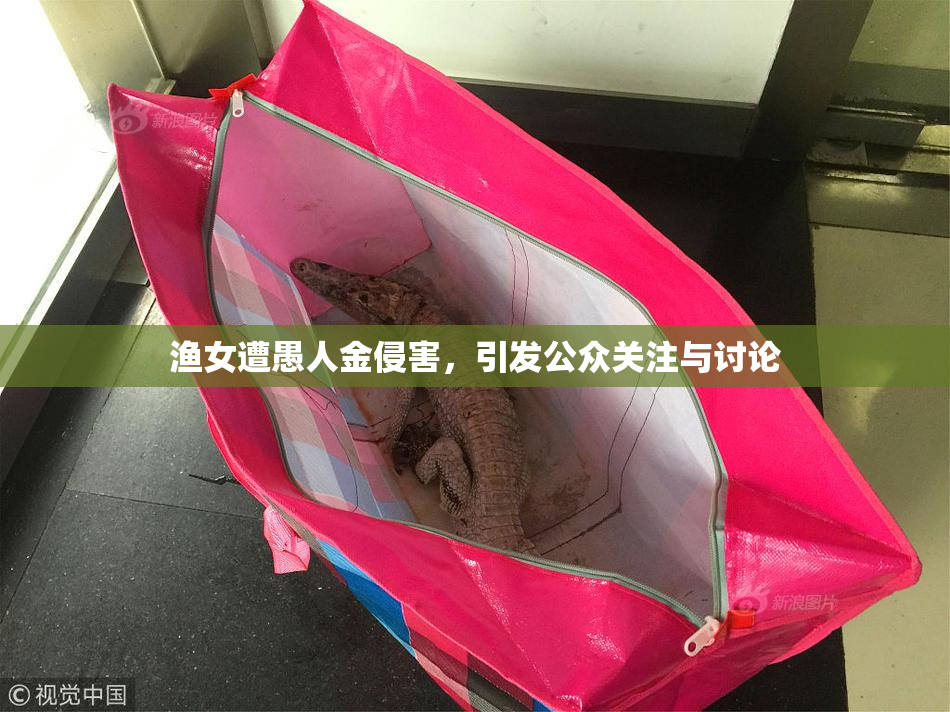 渔女遭愚人金侵害，引发公众关注与讨论