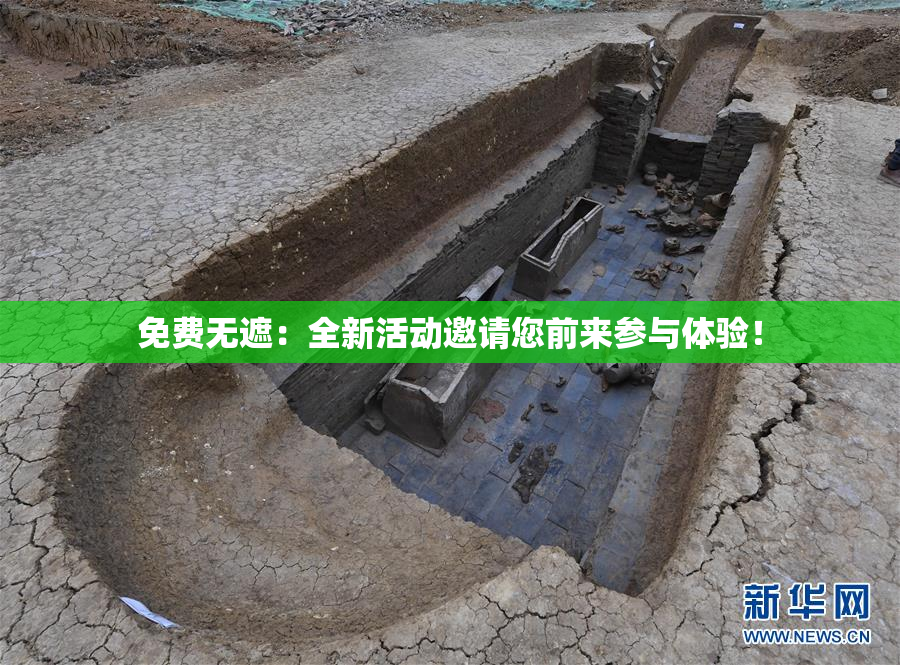 免费无遮：全新活动邀请您前来参与体验！