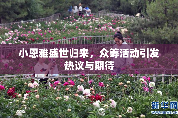 小恩雅盛世归来，众筹活动引发热议与期待