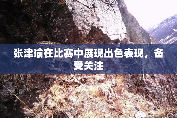 张津瑜在比赛中展现出色表现，备受关注