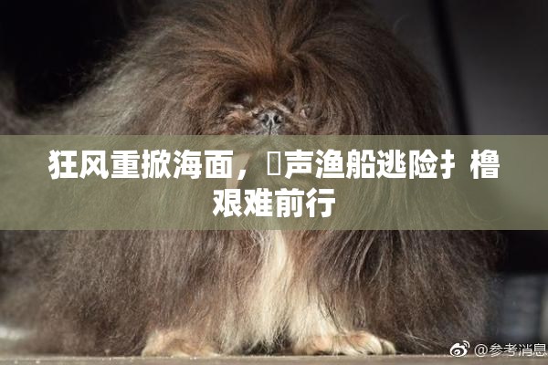 狂风重掀海面，喿声渔船逃险扌橹艰难前行