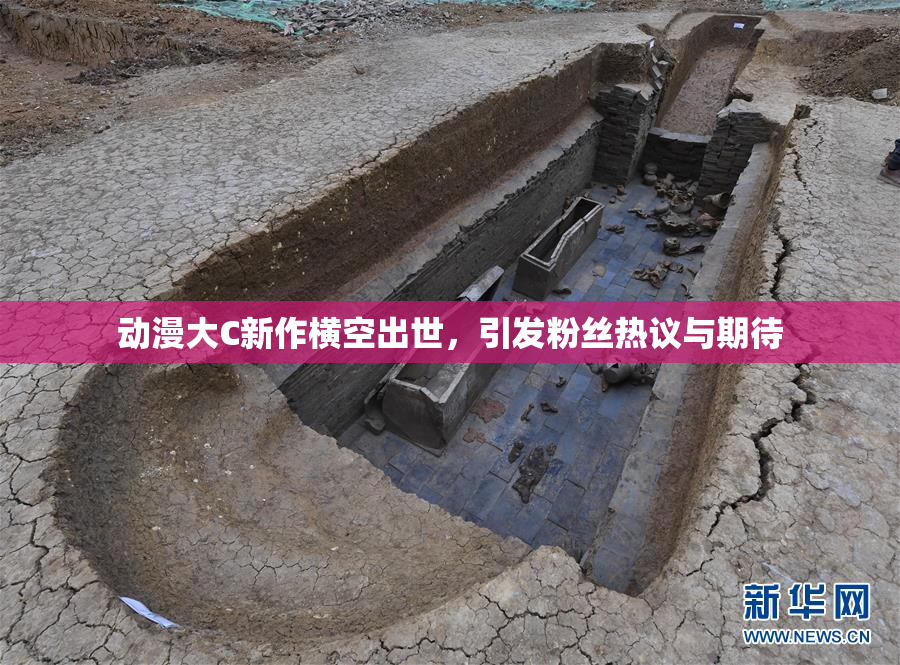 动漫大C新作横空出世，引发粉丝热议与期待