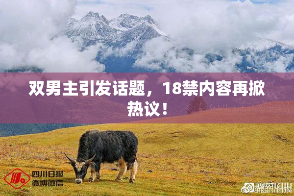 双男主引发话题，18禁内容再掀热议！