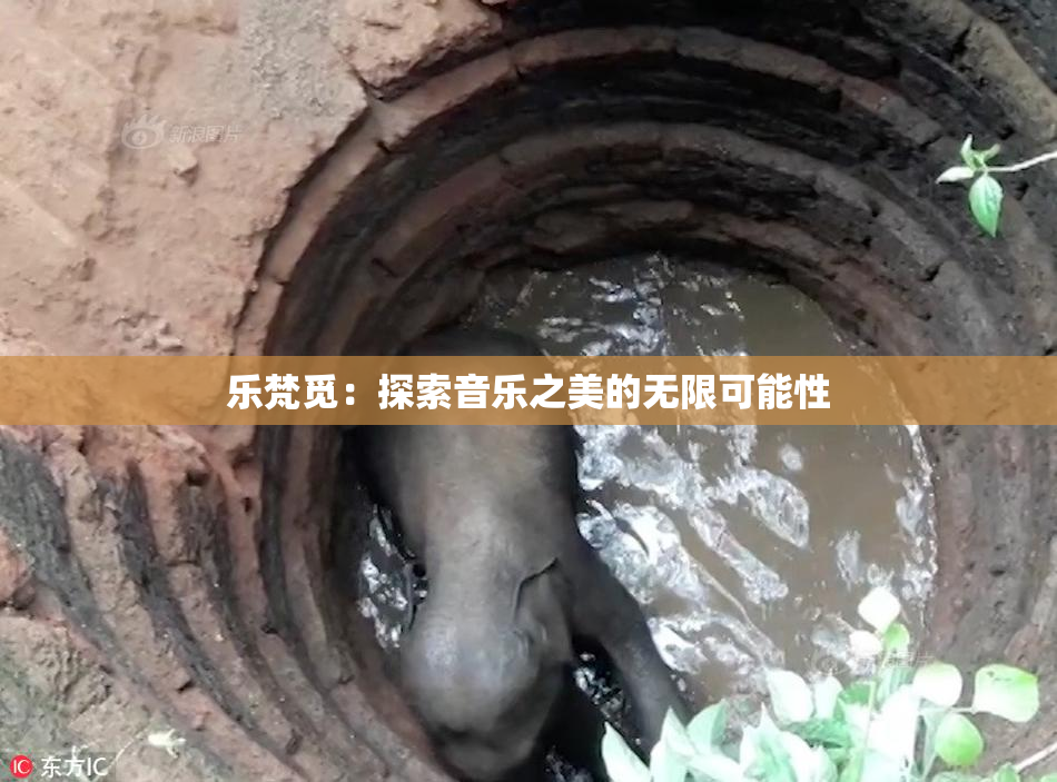 乐梵觅：探索音乐之美的无限可能性