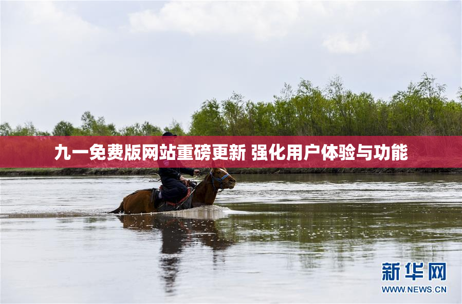 九一免费版网站重磅更新 强化用户体验与功能