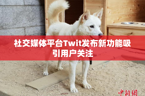 社交媒体平台Twit发布新功能吸引用户关注