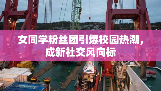 女同学粉丝团引爆校园热潮，成新社交风向标