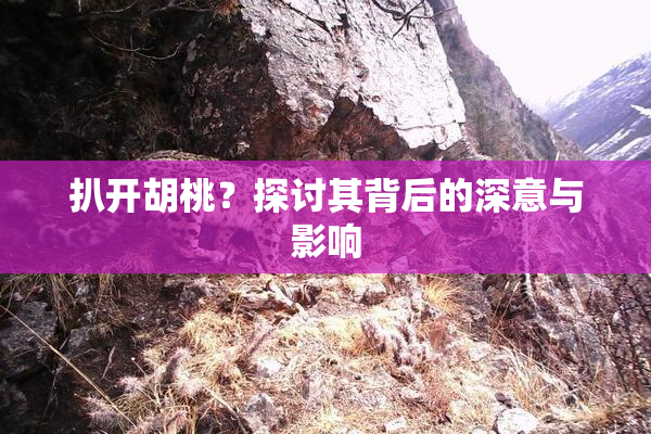 扒开胡桃？探讨其背后的深意与影响