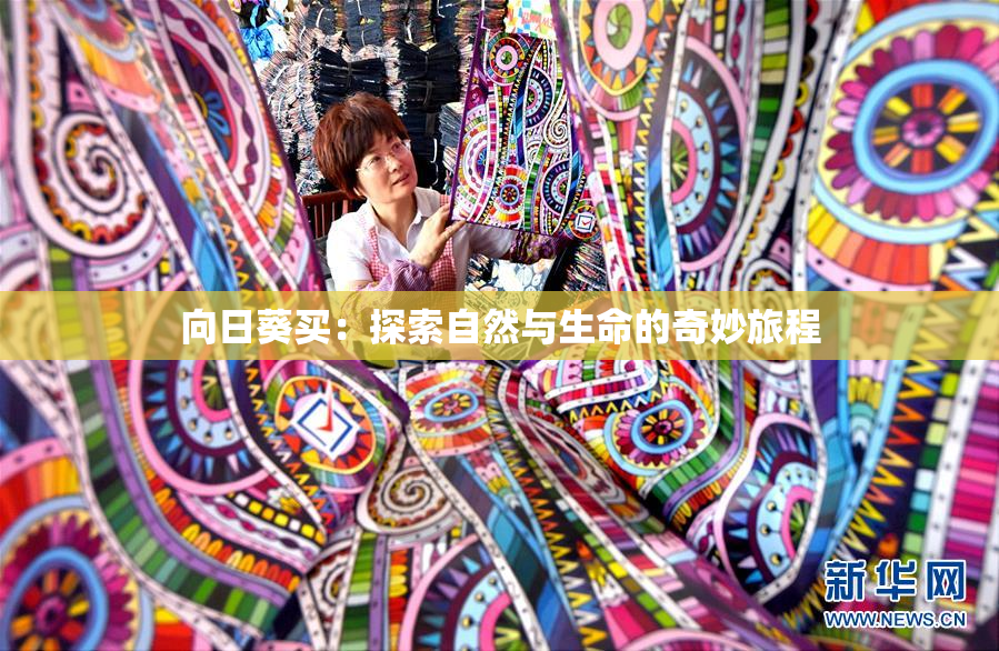 向日葵买：探索自然与生命的奇妙旅程
