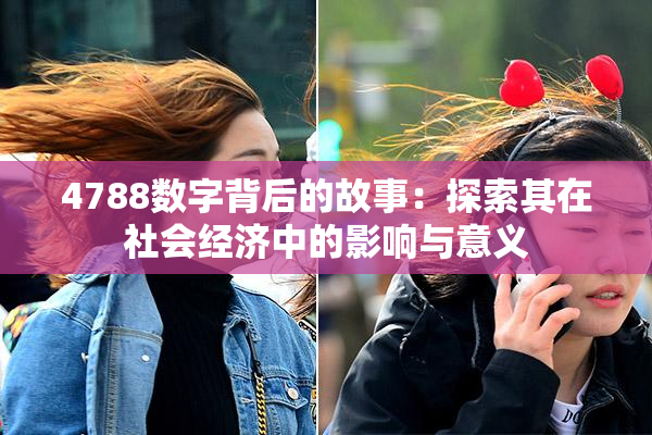 4788数字背后的故事：探索其在社会经济中的影响与意义
