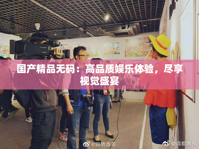 国产精品无码：高品质娱乐体验，尽享视觉盛宴