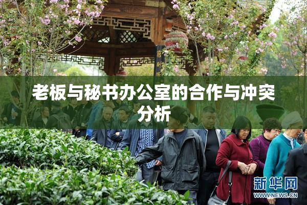 老板与秘书办公室的合作与冲突分析