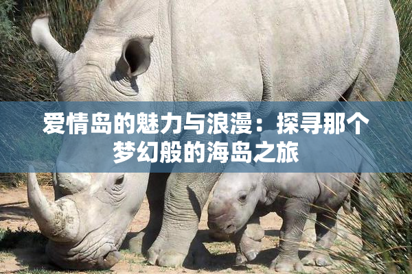 爱情岛的魅力与浪漫：探寻那个梦幻般的海岛之旅