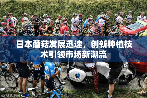 日本蘑菇发展迅速，创新种植技术引领市场新潮流