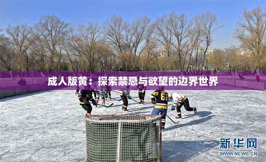 成人版黄：探索禁忌与欲望的边界世界
