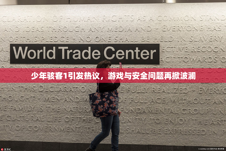 少年骇客1引发热议，游戏与安全问题再掀波澜