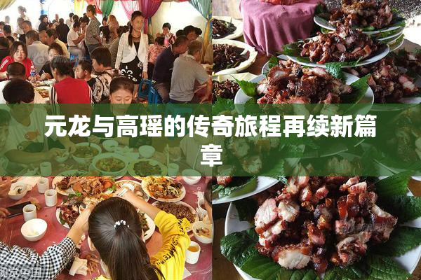元龙与高瑶的传奇旅程再续新篇章