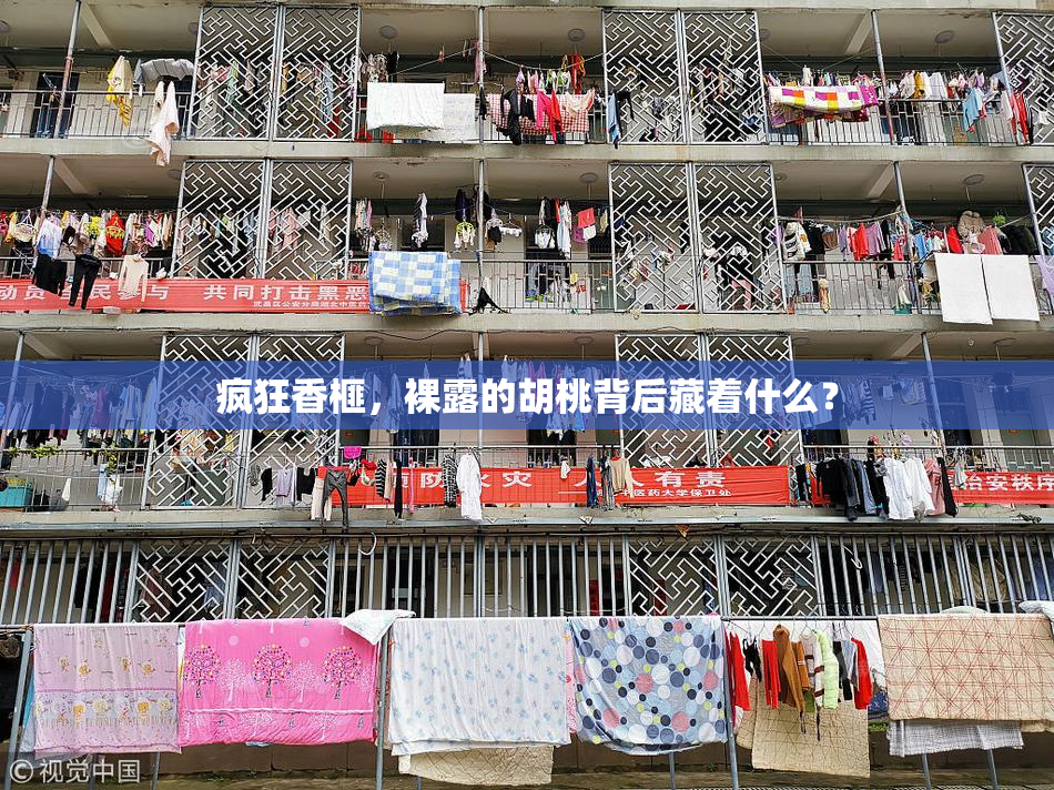 疯狂香榧，裸露的胡桃背后藏着什么？