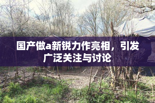 国产做a新锐力作亮相，引发广泛关注与讨论