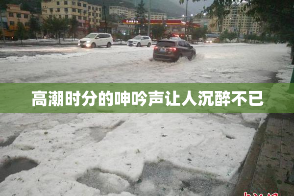 高潮时分的呻吟声让人沉醉不已