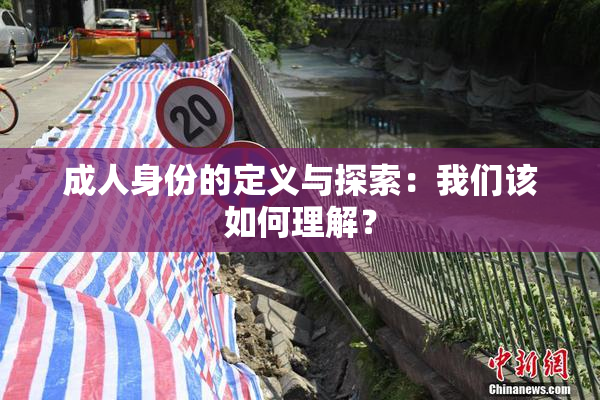 成人身份的定义与探索：我们该如何理解？