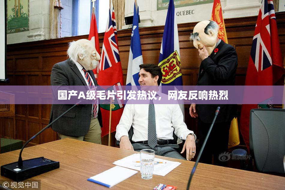国产A级毛片引发热议，网友反响热烈