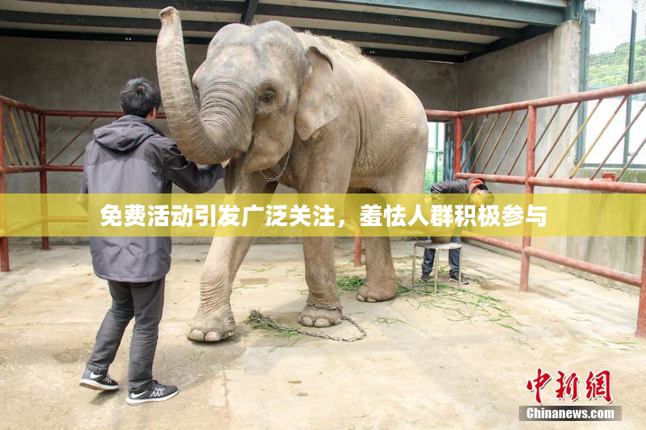免费活动引发广泛关注，羞怯人群积极参与
