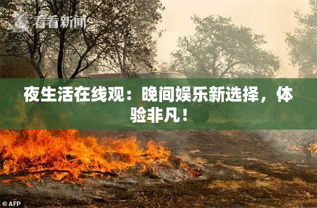 夜生活在线观：晚间娱乐新选择，体验非凡！