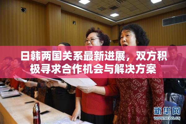 日韩两国关系最新进展，双方积极寻求合作机会与解决方案