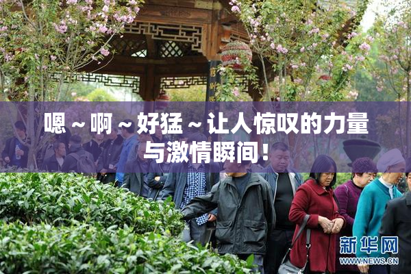 嗯～啊～好猛～让人惊叹的力量与激情瞬间！