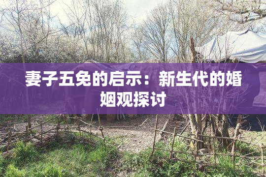 妻子五免的启示：新生代的婚姻观探讨