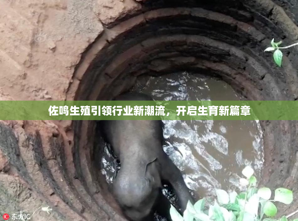 佐鸣生殖引领行业新潮流，开启生育新篇章