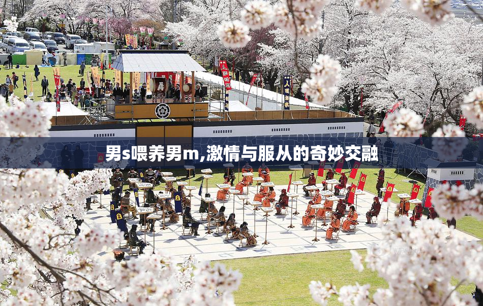男s喂养男m,激情与服从的奇妙交融