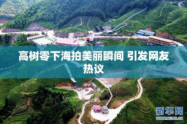 高树零下海拍美丽瞬间 引发网友热议